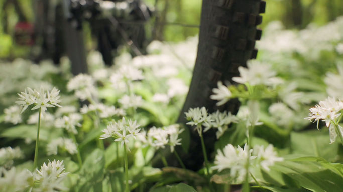 Anninger Laps - MTB edit